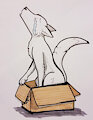 A Sad Wolf in a Box by WolfeMan
