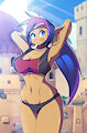 ☕Drive #2 - Shantae