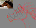 Sketch arabian horse