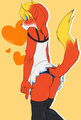 Little Orange Foxy~  by Snofu