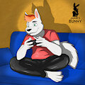 Luck the wolf gamer by JamesBunny007