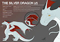Commission - The Silver Dragon Character Sheet by besonik