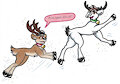 Reindeer Training Program: Flying
