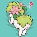 shaymin on you