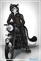 Theron riding a Vincent Black Shadow by Theron