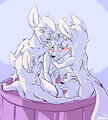 Fox Bath by Animancer