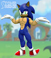 Sonic Shruggie - 2021