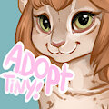 Rusty spotted cat adopt by sweltering