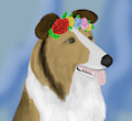 Flower Crown Collie