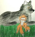 Tails and a wolf by Roop