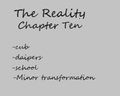 The Reality Chapter Ten by strikerthefox