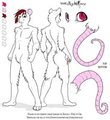 My Reference Sheet that I didn't do because I can't draw haha by NightMouse