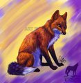 Fox of Color