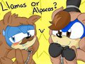 ~Llamas or Alpacas?...0u0 by Chilidogs742
