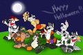 Kodi's Halloween Jamboree by ThumperBunny