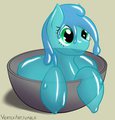 The Bowl by Rhyrs