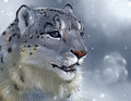 Animal Portrait - Snow Leopard by MissOro