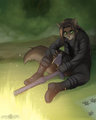 Exoticwolf commission (August 2013) by ABD