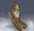 Holiday bird~ by Neems