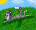 Relaxing in the Sun by KairoTheDragon
