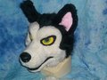 Angry Husky Fursuit for sale! 2 day left!! by Miharu