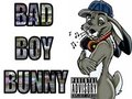 BadBoyBunny by badboybunny