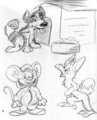 "Draw a Husky!" (and others) by skylerbunny